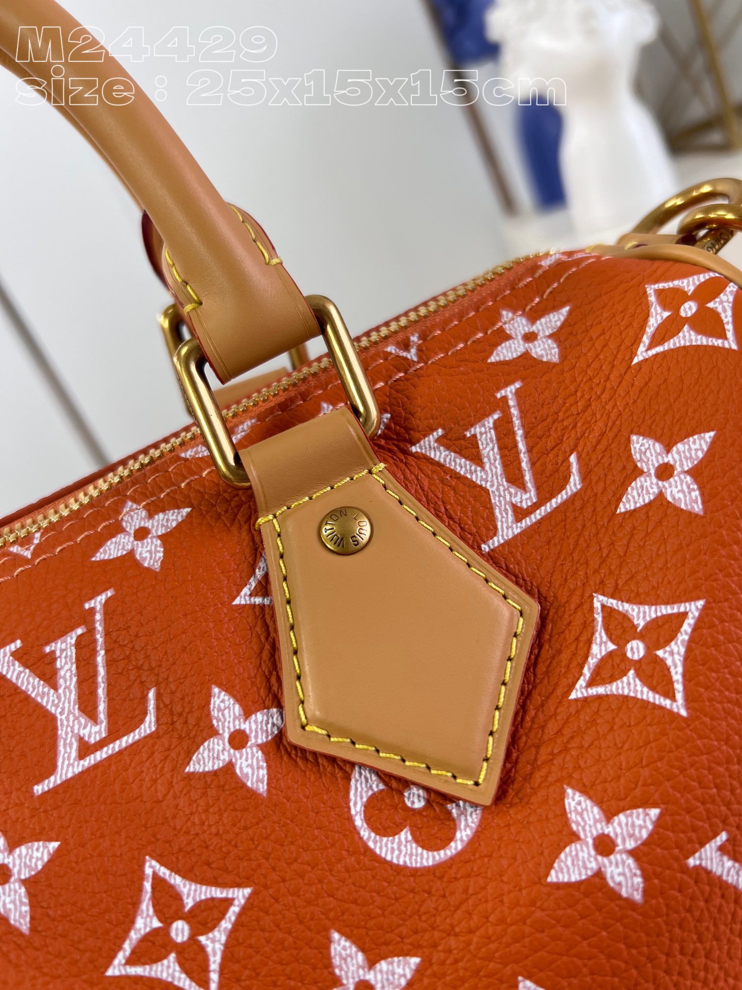 LV Speedy Bags